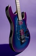 Music Man Steve Morse Y2d